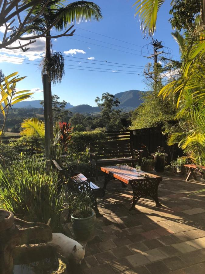 Grey Gum Lodge Nimbin Εξωτερικό φωτογραφία